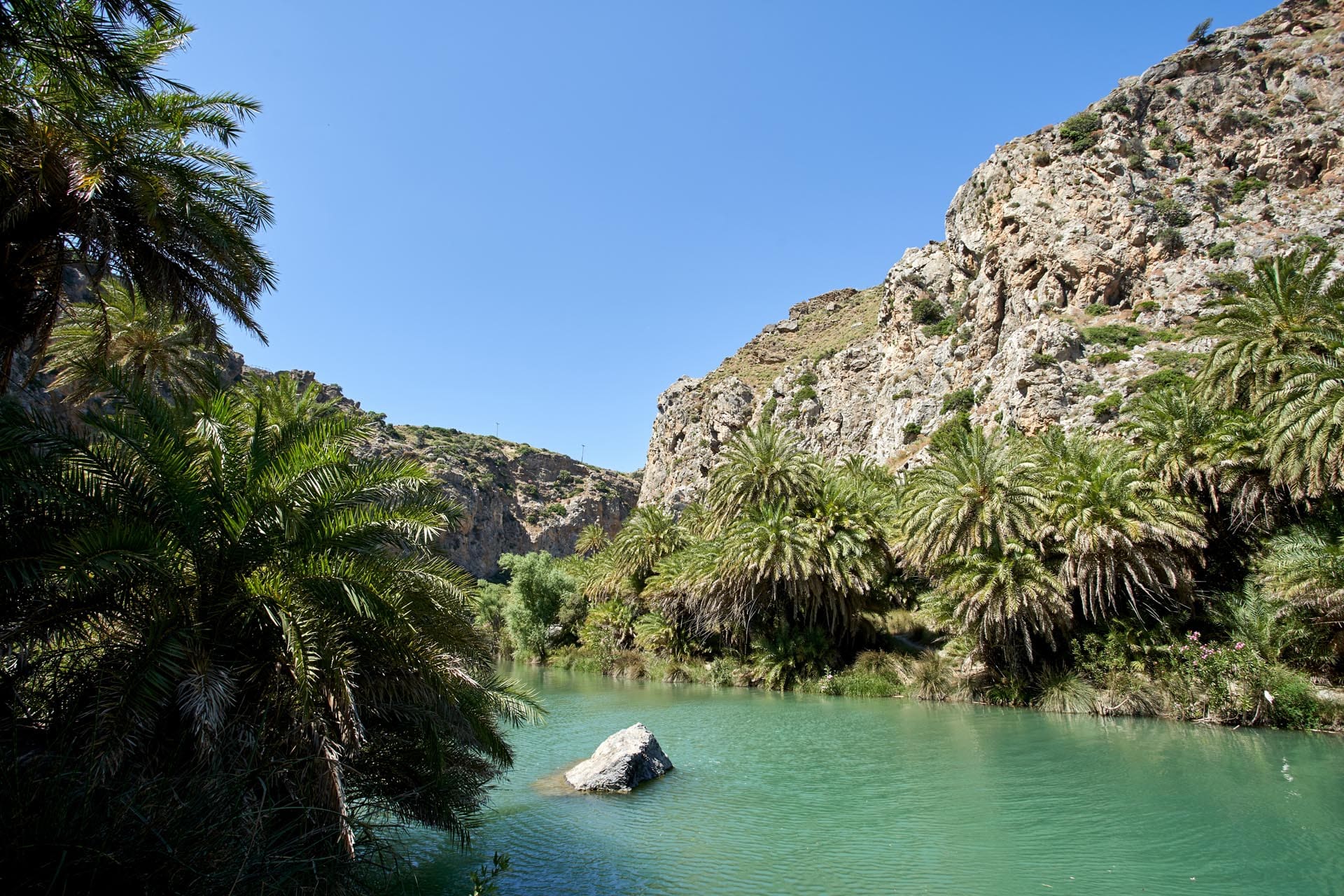 Kouvalite Car Rental | Rent a Car Herkalion, Crete picture of forest river in the coast of Preveli beach