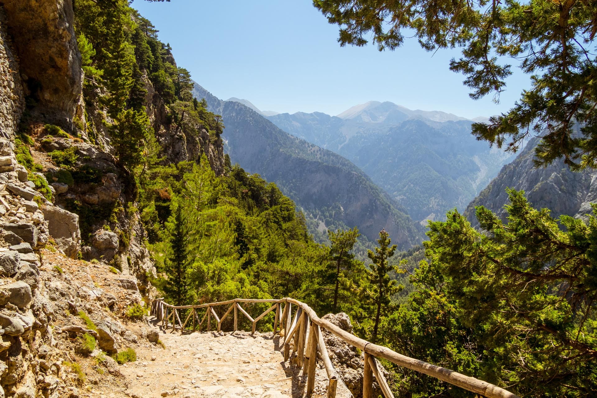 Kouvalite Car Rental | Rent a Car Herkalion, Crete picture of Samaria Gorge pathway and forest view