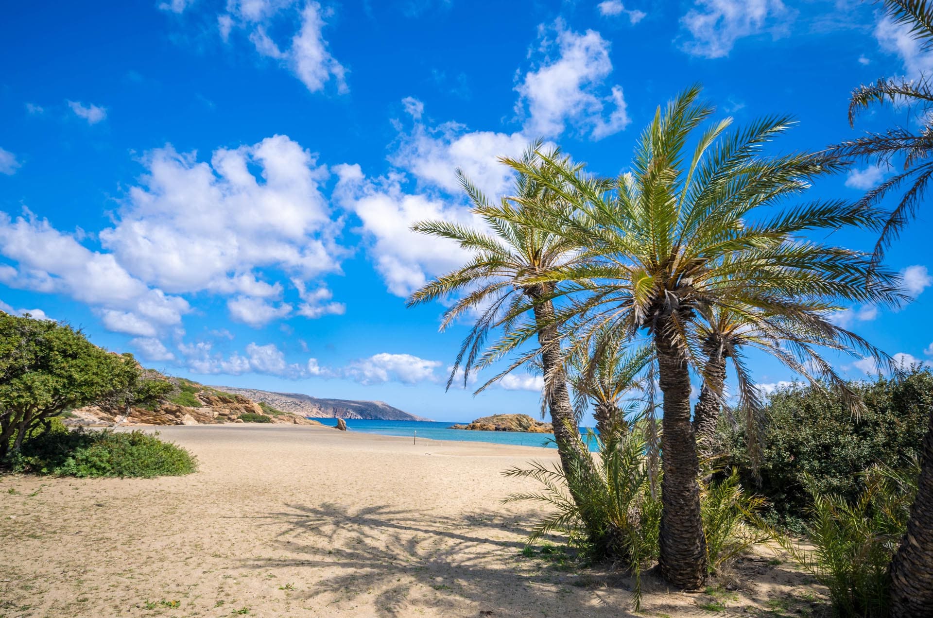 Kouvalite Car Rental | Rent a Car Herkalion, Crete picture of beach with palm trees